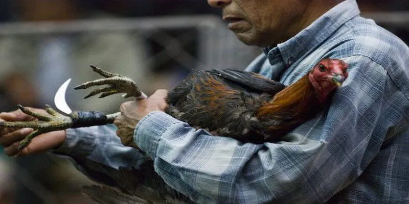 Kiểm tra chân kê Kiểm tra chân kê